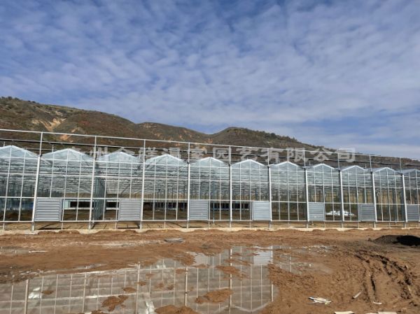 寧夏陽光板玻璃溫室